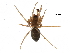  ( - BIOUG27608-G01)  @11 [ ] CreativeCommons - Attribution (2017) CBG Photography Group Centre for Biodiversity Genomics