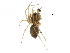  ( - BIOUG27608-G02)  @11 [ ] CreativeCommons - Attribution (2017) CBG Photography Group Centre for Biodiversity Genomics