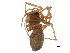  ( - BIOUG27608-G03)  @11 [ ] CreativeCommons - Attribution (2017) CBG Photography Group Centre for Biodiversity Genomics