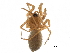  ( - BIOUG27609-D05)  @11 [ ] CreativeCommons - Attribution (2017) CBG Photography Group Centre for Biodiversity Genomics