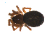  ( - BIOUG47279-A08)  @11 [ ] CreativeCommons - Attribution (2019) G. Blagoev Centre for Biodiversity Genomics
