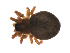  ( - BIOUG47279-A09)  @11 [ ] CreativeCommons - Attribution (2019) G. Blagoev Centre for Biodiversity Genomics