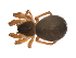  ( - BIOUG47279-A11)  @11 [ ] CreativeCommons - Attribution (2019) G. Blagoev Centre for Biodiversity Genomics