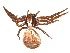  ( - BIOUG47279-C10)  @11 [ ] CreativeCommons - Attribution (2019) G. Blagoev Centre for Biodiversity Genomics