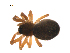  ( - BIOUG47279-H09)  @11 [ ] CreativeCommons - Attribution (2019) G. Blagoev Centre for Biodiversity Genomics