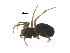  ( - BIOUG51612-C05)  @11 [ ] CreativeCommons - Attribution (2021) Unspecified Centre for Biodiversity Genomics