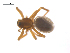  ( - CCDB-29007-F01)  @11 [ ] CreativeCommons - Attribution (2015) G. Blagoev Centre for Biodiversity Genomics