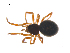  ( - CCDB-28546-E08)  @11 [ ] CreativeCommons - Attribution (2015) G. Blagoev Centre for Biodiversity Genomics