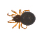  ( - CCDB-28546-G01)  @11 [ ] CreativeCommons - Attribution (2015) G. Blagoev Centre for Biodiversity Genomics