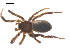  ( - CCDB-28550-E04)  @11 [ ] CreativeCommons - Attribution (2015) G. Blagoev Centre for Biodiversity Genomics