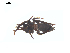  ( - CCDB-28550-G09)  @11 [ ] CreativeCommons - Attribution (2015) G. Blagoev Centre for Biodiversity Genomics