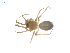  ( - CCDB-28948-G08)  @13 [ ] CreativeCommons - Attribution (2015) G. Blagoev Centre for Biodiversity Genomics