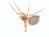  ( - CCDB-28948-H07)  @14 [ ] CreativeCommons - Attribution (2015) G. Blagoev Centre for Biodiversity Genomics