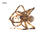  ( - CCDB-29005-B08)  @11 [ ] CreativeCommons - Attribution (2015) G. Blagoev Centre for Biodiversity Genomics