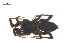 ( - CCDB-29005-D03)  @11 [ ] CreativeCommons - Attribution (2015) G. Blagoev Centre for Biodiversity Genomics