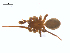  ( - CCDB-29005-G05)  @11 [ ] CreativeCommons - Attribution (2015) G. Blagoev Centre for Biodiversity Genomics