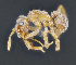  (Cyphomyrmex EC10 - C3PO_ANT_1368)  @11 [ ] CC-BY-NC-ND (2024) Adrian Troya Escuela Politecnica Nacional