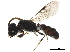  ( - BIOUG36529-A06)  @14 [ ] CreativeCommons - Attribution (2019) CBG Photography Group Centre for Biodiversity Genomics