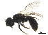  ( - BIOUG36793-E08)  @12 [ ] CreativeCommons - Attribution (2019) CBG Photography Group Centre for Biodiversity Genomics