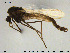  ( - GL149)  @13 [ ] Creative Commons  Attribution Non-Commercial Share-Alike (2016) NTNU University Museum, Department of Natural History NTNU University Museum, Department of Natural History