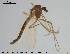  ( - GL72)  @11 [ ] CreativeCommons - Attribution Non-Commercial Share-Alike (2016) NTNU University Museum, Department of Natural History NTNU University Museum, Department of Natural History