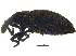  (Lepyrini - BIOUG14662-B03)  @15 [ ] CreativeCommons - Attribution (2015) CBG Photography Group Centre for Biodiversity Genomics