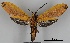  ( - DR14_0008)  @11 [ ] CreativeCommons - Attribution Non-Commercial Share-Alike (2017) Dominik Rabl University of Vienna, Dept of Botany and Biodiversity Research