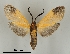 ( - DR14_0035)  @11 [ ] CreativeCommons - Attribution Non-Commercial Share-Alike (2017) Dominik Rabl University of Vienna, Dept of Botany and Biodiversity Research