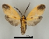  ( - DR14_0037)  @11 [ ] CreativeCommons - Attribution Non-Commercial Share-Alike (2018) Dominik Rabl University of Vienna, Dept of Botany and Biodiversity Research