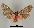  ( - DR14_0075)  @11 [ ] CreativeCommons - Attribution Non-Commercial Share-Alike (2017) Dominik Rabl University of Vienna, Dept of Botany and Biodiversity Research