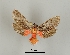  ( - DR14_0076)  @11 [ ] CreativeCommons - Attribution Non-Commercial Share-Alike (2017) Dominik Rabl University of Vienna, Division of Tropical Ecology and Animal Biodiversity