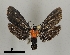  ( - DR14_0083)  @11 [ ] CreativeCommons - Attribution Non-Commercial Share-Alike (2017) Dominik Rabl University of Vienna, Dept of Botany and Biodiversity Research