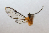  ( - MBe0042)  @11 [ ] Copyright (2018) Unspecified Forest Zoology and Entomology (FZE) University of Freiburg
