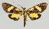  ( - MBe0134)  @11 [ ] © (2019) Unspecified Forest Zoology and Entomology (FZE) University of Freiburg