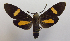  ( - MBe0189)  @11 [ ] © (2019) Unspecified Forest Zoology and Entomology (FZE) University of Freiburg