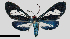  ( - MBe0333)  @11 [ ] © (2020) Unspecified Forest Zoology and Entomology (FZE) University of Freiburg