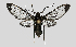  ( - MBe0355)  @11 [ ] © (2020) Unspecified Forest Zoology and Entomology (FZE) University of Freiburg