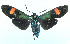  ( - MBe0425)  @11 [ ] © (2021) Unspecified Forest Zoology and Entomology (FZE) University of Freiburg