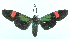  ( - MBe0427)  @14 [ ] © (2021) Unspecified Forest Zoology and Entomology (FZE) University of Freiburg