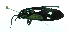  ( - MBe0448)  @11 [ ] © (2021) Unspecified Forest Zoology and Entomology (FZE) University of Freiburg