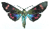  ( - MBe0451)  @11 [ ] © (2021) Unspecified Forest Zoology and Entomology (FZE) University of Freiburg