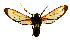  ( - MBe0501)  @11 [ ] Unspecified (default): All Rights Reserved  Unspecified Unspecified