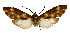  ( - MBe0509)  @11 [ ] Unspecified (default): All Rights Reserved  Unspecified Unspecified