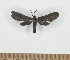  ( - MBe0517)  @11 [ ] Unspecified (default): All Rights Reserved  Unspecified Unspecified