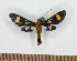  ( - MBe0520)  @11 [ ] Unspecified (default): All Rights Reserved  Unspecified Unspecified
