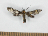  ( - MBe0521)  @11 [ ] Unspecified (default): All Rights Reserved  Unspecified Unspecified