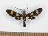  ( - MBe0522)  @11 [ ] Unspecified (default): All Rights Reserved  Unspecified Unspecified