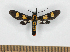  ( - MBe0523)  @11 [ ] Unspecified (default): All Rights Reserved  Unspecified Unspecified
