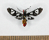  ( - MBe0528)  @11 [ ] Unspecified (default): All Rights Reserved  Unspecified Unspecified