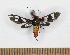  ( - MBe0529)  @11 [ ] Unspecified (default): All Rights Reserved  Unspecified Unspecified